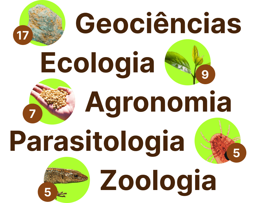 Imagem com o número de projetos por área de conhecimento