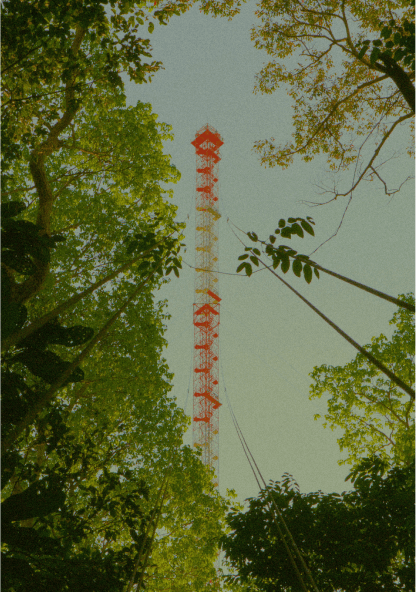 Amazônia: pesquisa acima do dossel da floresta