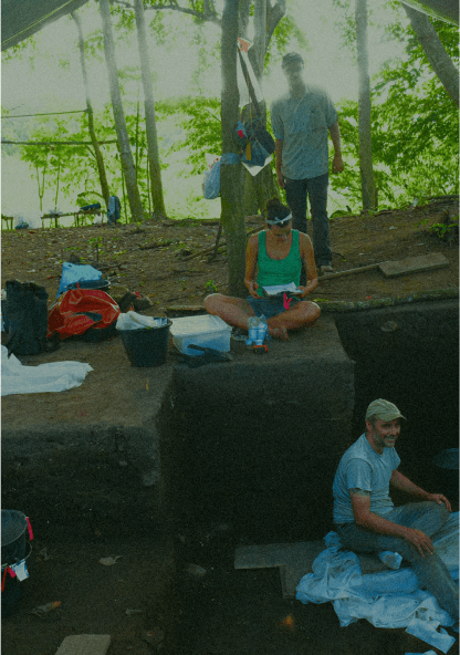 A transformação da floresta