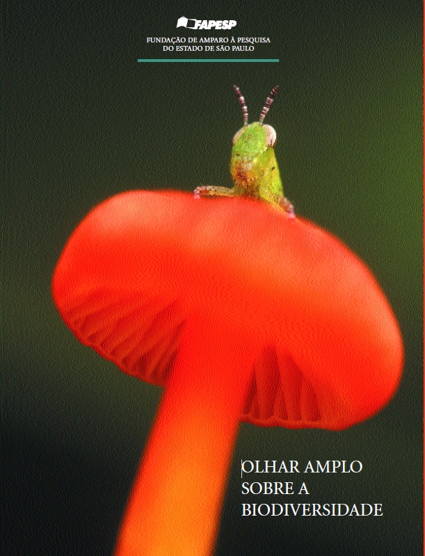Olhar amplo sobre a biodiversidade