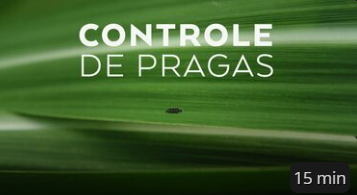 Episódio 10 - Controle de Pragas da série de vídeos Ciência para Todos