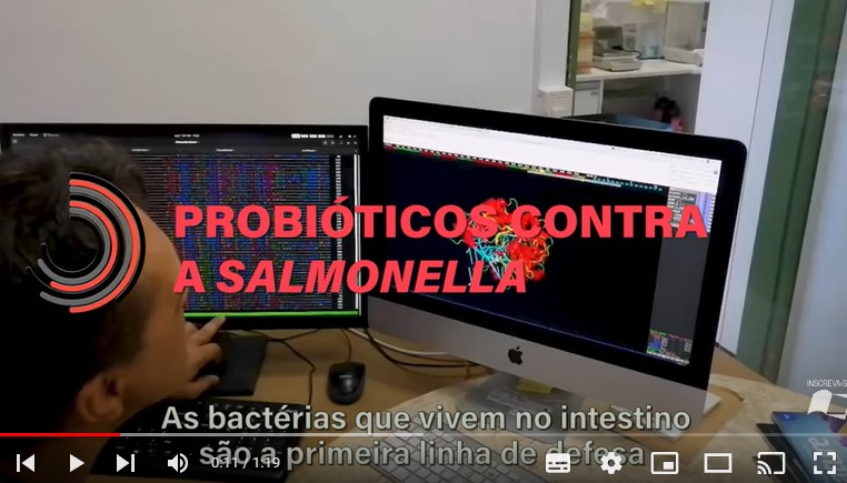 Probióticos contra a Salmonella