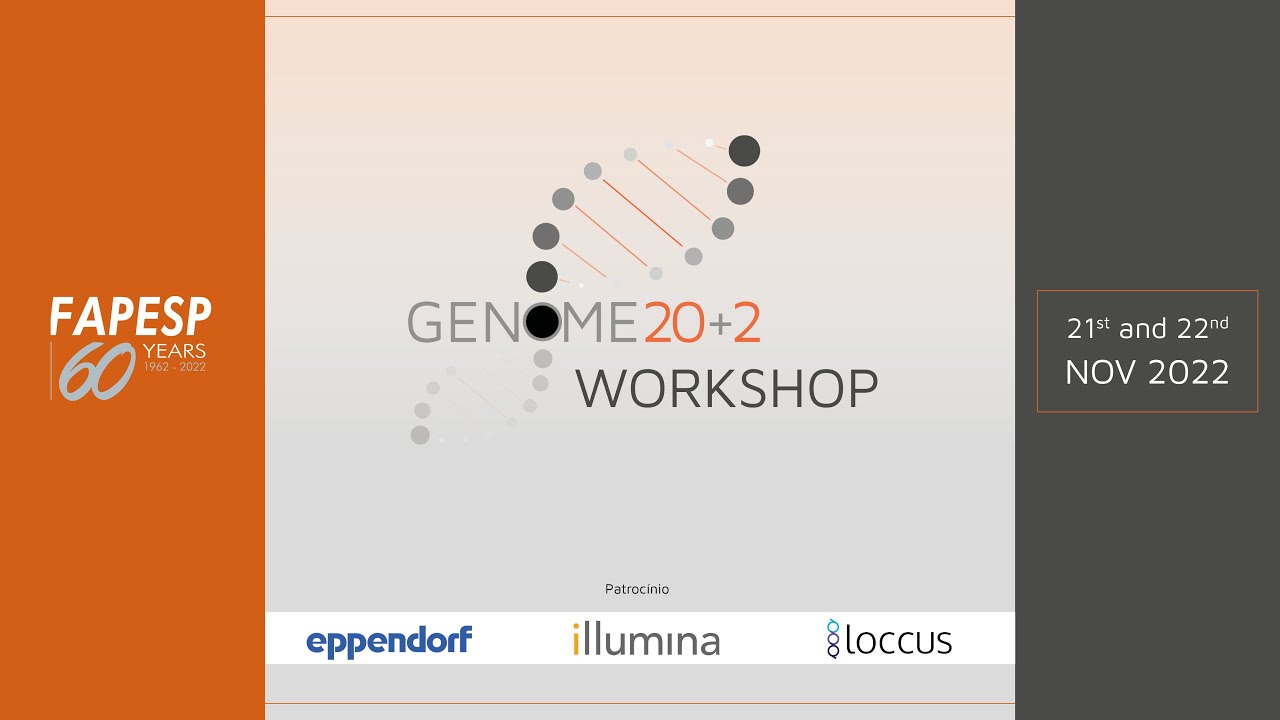 workshop Genona 20+2 FAPESP