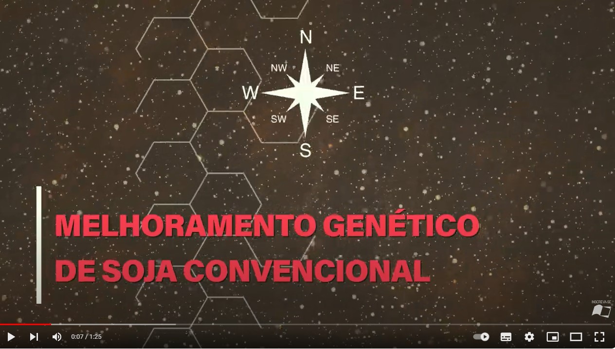 Melhoramento genético de soja convencional