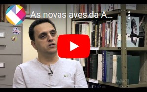 Brasil faz o maior achado da ornitologia em 140 anos