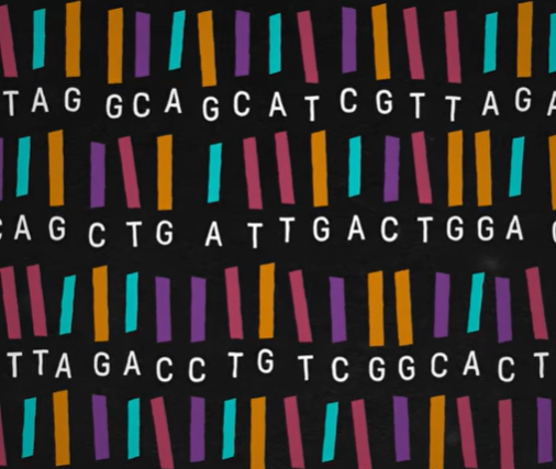 O que é o DNA?